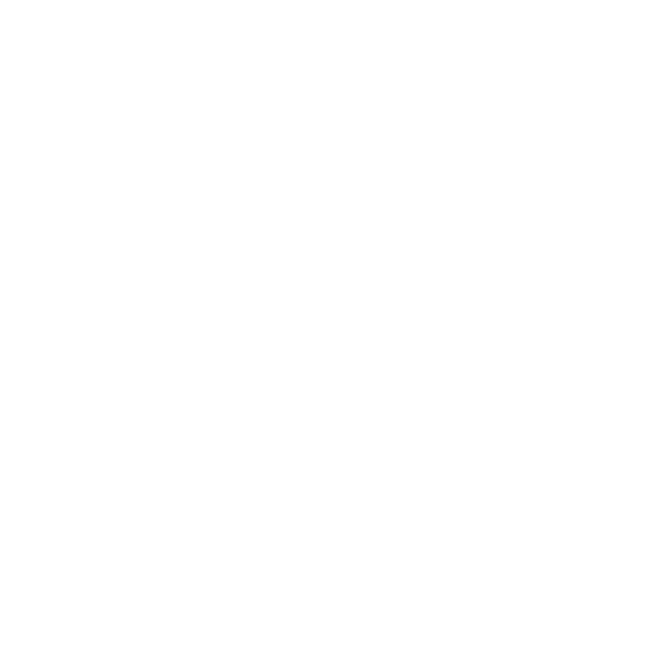 sinohydro_white_transparent